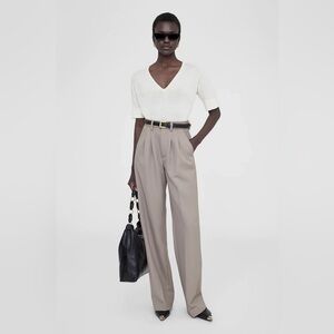 NWT Anine Bing Carrie trouser pants in taupe size 32